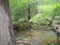 fowlers hollow.Laural run 06-09-14 072
